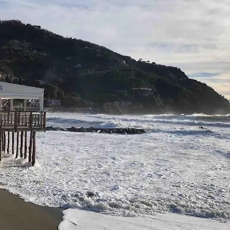 Dantis Domus At The * Levanto