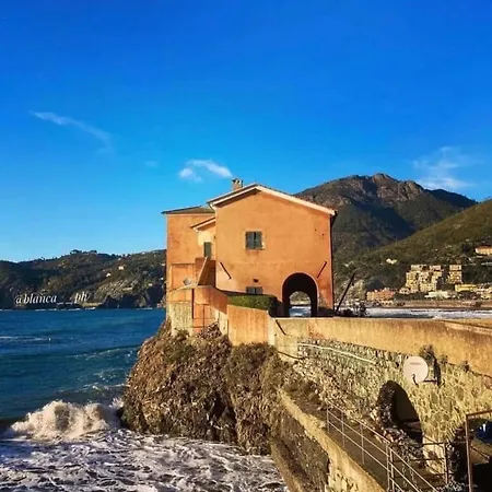 Dantis Domus At The * Levanto