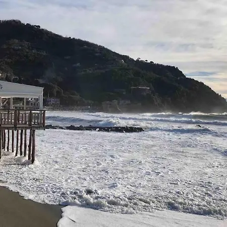 Dantis Domus At The * Levanto