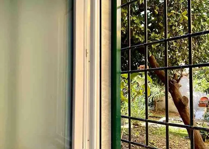 Dantis Domus At The *